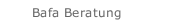 Bafa Beratung